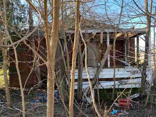 Testing again(12).jpg